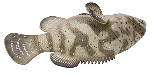 Safari Ltd. Goliath Grouper