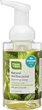 CleanWell Foaming Hand Soap with Botanical Oils - Spearmint Lime Scent, 9.5 OZ (4 Pack) - Alcohol-Free, Plant-Based, for All Skin Types, Kid Friendly, Moisturizing with Aloe, Biodegradable Solution
