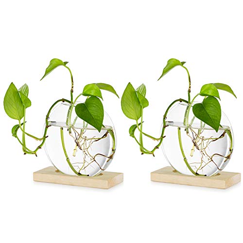 Tabletop Hanging Glass Planter Pcs of 2 Propagation Station Modern Flower Bud Vase in Wood Stand Rack Terrarium for Hydroponic Plants Cuttings Office Home Decoration, Gift for Plant Lover — image 1