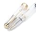 Wing Sung 618 Toso Piston Fountain Pen (Transparent with Golden Clip)