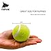 FitPetx Squeaker Tennis balls, Pet Squeaky Toy, 2.5
