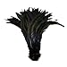 Everyshine 240 Pcs Dyed Nature Rooster Coque Tails Feather 10-12 inches (Black)