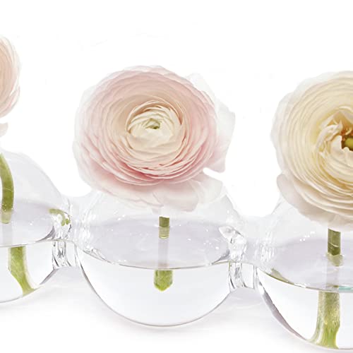 Caterpillar, Large Clear Glass Bud Vase 13" Long 4" Wide 3.5” Tall for