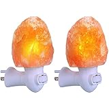Tomshine Himalayan Salt Lamp Night Light Natural Mini Crystal Salt lights for Air Purifying Bedroom Decoration, ETL-listed Plug, 2 Pack