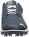 PUMA Men's Biofusion Lite Golf Shoe