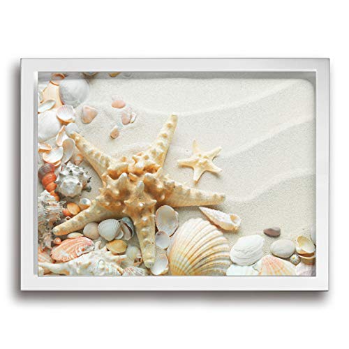 ADELBERT HENDEICKSONA Sand Seashells Starfish Picture Photo Frame Modern Canvas Abstract Wall Art Artwork Print Paintings for Wall and Home Decor for Living Room Bedroom
