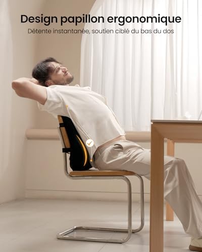 Coussin de Dossier Ergonomique en Mousse à mémoire de Forme, Coussin Lombaire pour Chaise de Bureau, siège Auto et Chaise de Bureau, Coussin Lombaire Respirant, Noir
