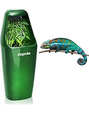 amazon reptile shop