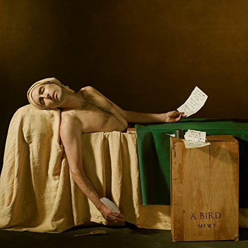 Album Art for My Finest Work Yet by Andrew Bird