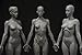 Female Anatomy Figure Collection: Planar, Ecorche and Skin - Anatomical Reference for Artists