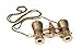 Levenhuk Broadway 325F Opera Glasses (gold, with LED light and chain), 3x, with accessory kit