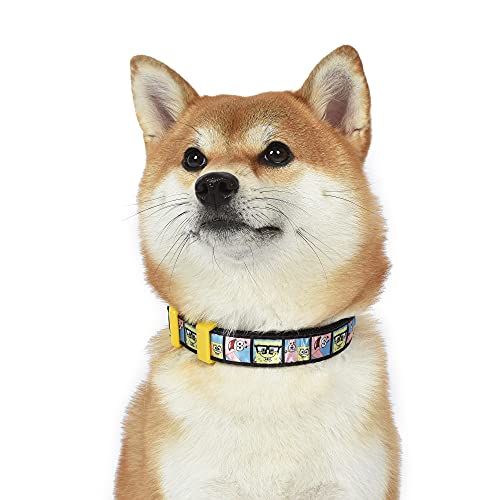 spongebob dog collar