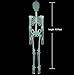 Halloween 5 Ft Skeleton Luminous Glow-in-The-Dark Skeleton for Halloween Party Bar Wall Sticker Decorations Outdoor Yard Garden Hanging Ornaments Props (5ft Skeleton)