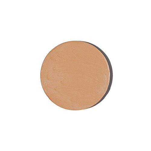 lush concealer