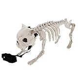 Halloween Haunters 16