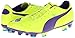 PUMA Men's evoPOWER 2 Firm Ground Soccer Shoe