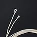 Oud Strings, Nylon Silver Plated Copper Alloy Clear Normal Tension Oud Strings Set Replacement Accessory (12 strings)