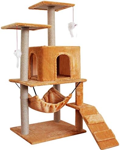 cat climbing tree amazon