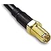 TRENDnet Low Loss RP-SMA Male to RP-SMA Female Antenna Cable, 6 m (19.6 ft.), 3.0 dB Max Signal Loss, TEW-L106 Black