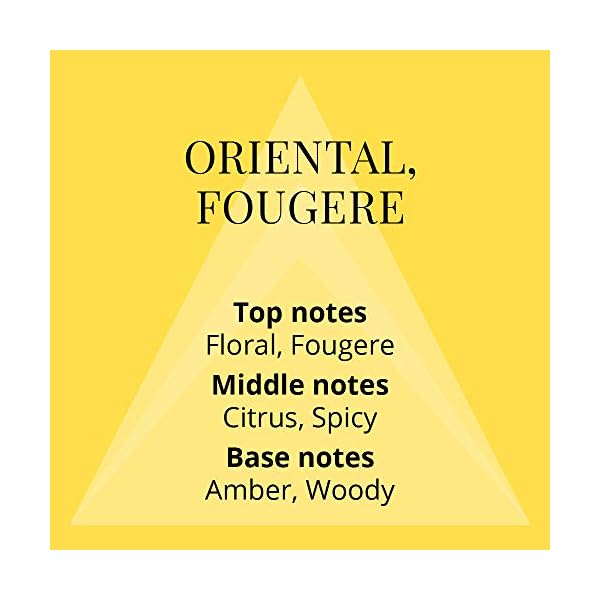 Milton-Lloyd-Pure-Gold-by-Mary-Chess-Fragrance-for-Men-50ml-Eau-de-Toilette UTC Pure Gold by Mary Chess - Fragrance for Men - 50ml Eau de Toilette, made by Milton-Lloyd