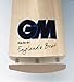 Gunn & Moore GM Mythos 303 Premium English Willow Cricket Bat (2019 Edition)