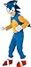Rubie's Official Sonic The Hedgehog Children Fancy Dress - Large