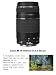 Canon EOS Rebel T7 DSLR Camera with 18-55mm & 75-300mm Zoom Lens Bundled Kit with 128GB Memory & Case (Holiday Special)thumb 4