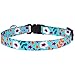 CollarDirect Cat Collar with Removable Bell Floral Pattern 2 Pack Set Flower Adjustable Safety Breakaway Collars for Cats Kitten