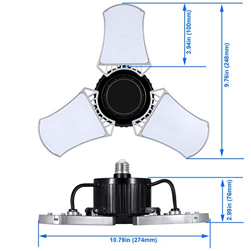 4 Daylight+Deformable+Adjustable+Workshop+Basement