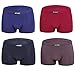 wirarpa Men's Breathable Modal Microfiber Trunks Underwear Covered Band Multipack