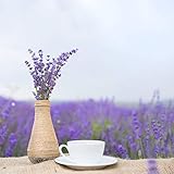 Revitalizing Facial Lift Sampler Pack -:- Exfoliate & Condition Your Skin + Revitalize Your Mood