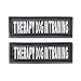 Industrial Puppy 2 Therapy Dog in Training Patch with Hook Back and Reflective Lettering, Interchangable Patches, Weatherproof Polyester Durability, Tag Patches for Therapy Dog Vest, Large, Black
