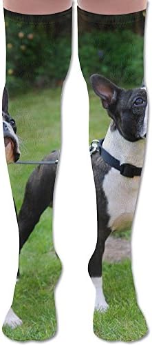 FJVDFFF Two Young Boston Terriers Compression Socks BEST Stockings For Running, Medical,Athletic,Edema,Diabetic,Varicose Veins,Travel, Pregnancy,Shin Splints,Nursing.
