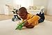 Fisher-Price Imaginext Dinosaurs, Stegosaurus