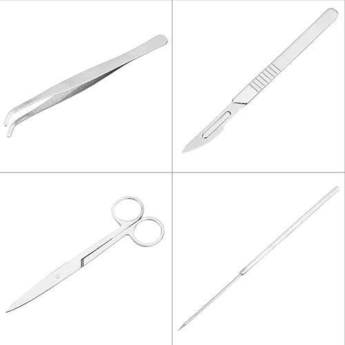 Kit Dissezione 7 Pezzi - Bisturi, Pinzette, Forbici In Acciaio Inox, Per Biologia, Veterinaria O Tassidermia - Foto 9