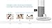 Clever Dog Wireless Security WiFi Cameras/Smart Baby Monitor/Surveillance Security Camera with P2P, Night Vision, Record Video, Two-Way Audio,Motion Detection,iPhone Ipad Android