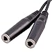 Seismic Audio 6 Inch Male to Dual 1/4 Inch Female Mono Y Splitter Cable (SA-Y9)