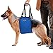 Dog Lift Harness Sling | Large ACL Brace for Rear Leg Support of Old K9 | Help Em Up Carrier Knee Limping Joint Hock Hip Injuries Arthritis Poor Mobility Veterinarian Approved Rehabilitation Recovery