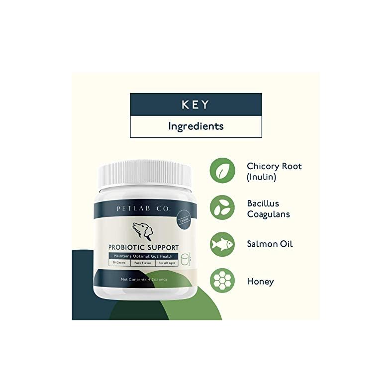 Petlab Co. Dog Probiotic Chewable Probiotic with 8 Strains of