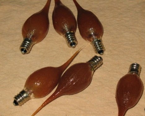 On The Bright Side - Scented Silicone Light Bulb - Pack of 3 - Cinnamon Stix