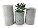 Concrete Succulent Planters / Air Plant Holders. Urba Planters. (set of 3) Natural gray.