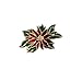 LUX ACCESSORIES Holiday Festive Christmas Xmas Floral Holly Brooch Pin