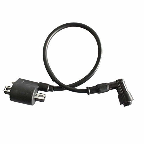 HIFROM(TM) Motorcycle Parts Ignition Coil for Chinese 50cc 90cc 110cc 125cc ATV Dirt Bike (Best Chinese 125cc Motorcycle)