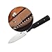 KnifeStyle 440A Stainless Steel Blade Kitchen Chef Folding Pocket Knife for Outdoor Camping Cooking