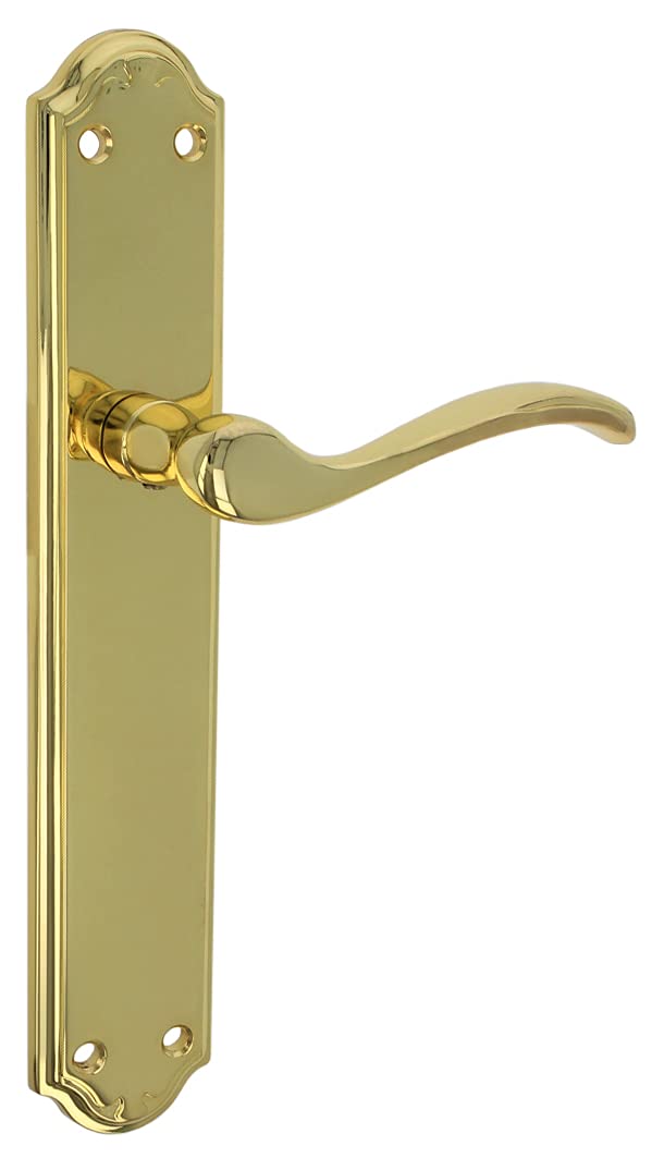 Amig – Lever Handle Set with Backplate – 248 x 44 mm – Zamak – Gold Finish – 8 mm Spindle – Alfa Model – Includes Fixing Accessories – Ideal for Interior Passage Doors