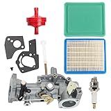 Wellsking 498298 Carburetor for Briggs and Stratton