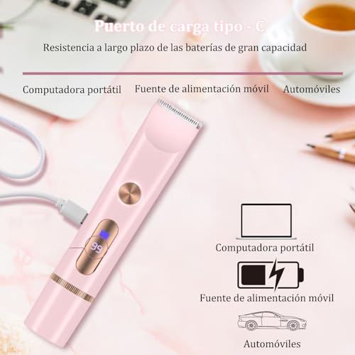 JDF3CISH 2 En 1 Rasuradora Electrica Mujer, Depiladora Electrica Portátil, Flawless Depilador Facial, USB Recargable, Uso en Seco y Húmedo, No Irritante,para Bikini Axilas Piernas Facial Brazos (Rosa）
