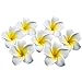 SHAKLAK Sealike 100 Pcs Diameter 2.4 Inch Artificial Plumeria Rubra Hawaiian Flower Petals for Wedding Party Decoration with Stylus White