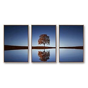 Framed Canvas Wall Art for Living Room, Bedroom Beautiful Nature Norway Landscape Canvas Prints for Modern Home Decoration Ready to Hang - 16"x24"x3 Panels