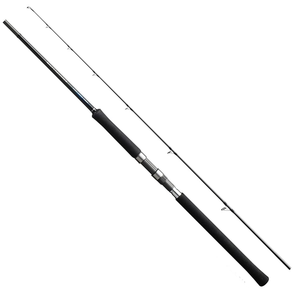 SHIMANO ソルティーアドバンス SHORE JIGGING S100H シマノの商品画像